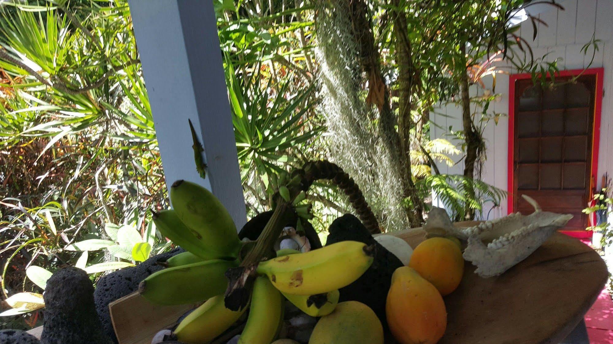Ma'Ukele Lodge Pahoa Zewnętrze zdjęcie